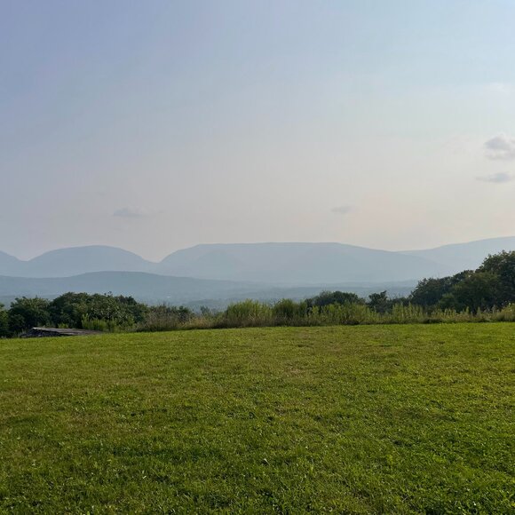 Meet your Posher, Justine - Picture 1 of 1